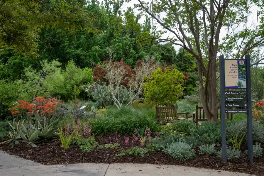 Landscaping Contractor in Alamogordo, NM Landscaping Contractor in Alamogordo, NM